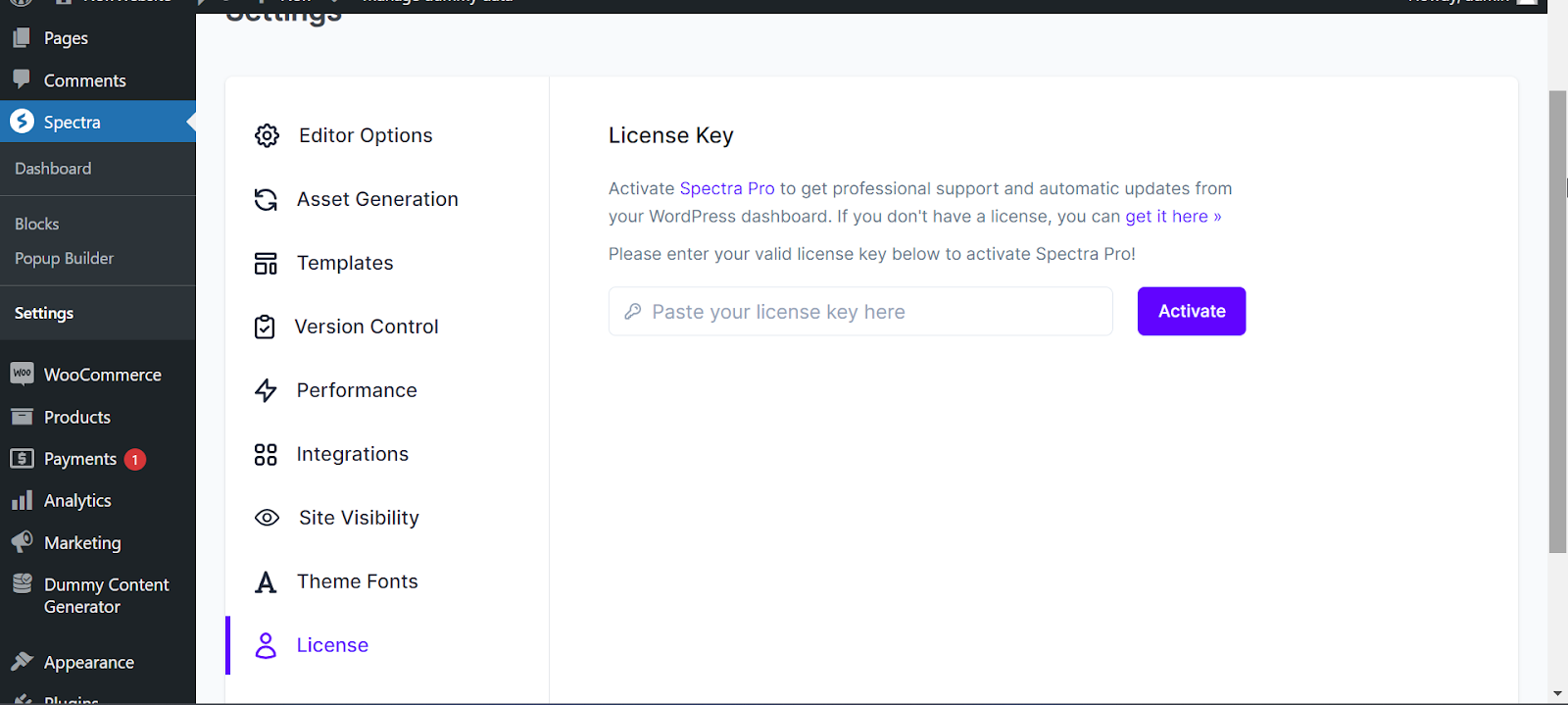 How to Activate Spectra Pro License - Spectra