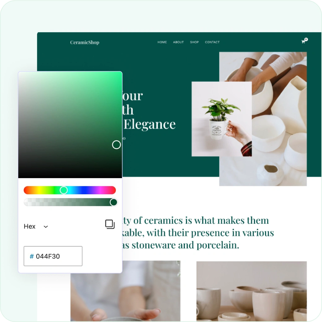 Color Customization Color Customization